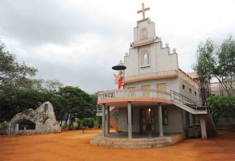 Square Image